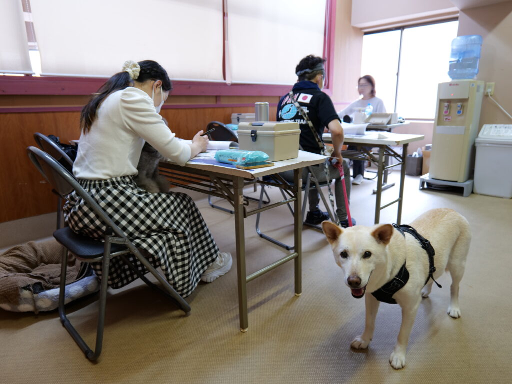 ペット温灸セミナーの様子